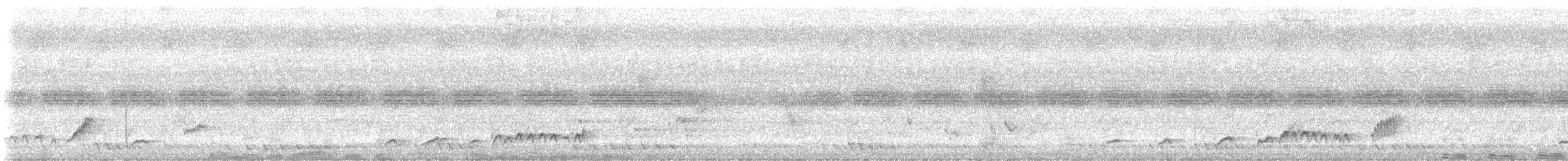 White-rumped Shama - ML643012963