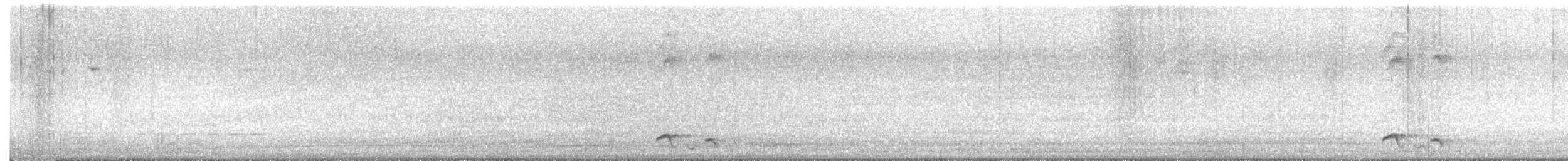Black-necklaced Scimitar-Babbler - ML643013175