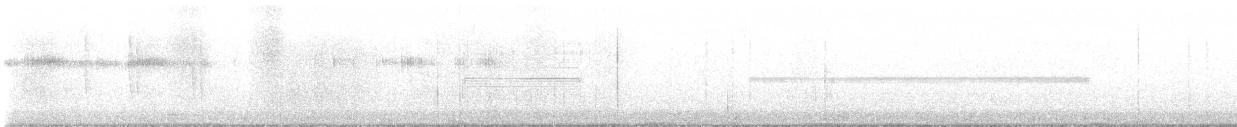 Broad-tailed Hummingbird - ML643015231