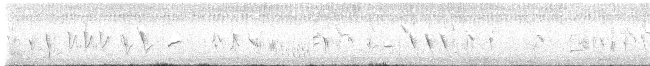 Island Canary - ML643017843