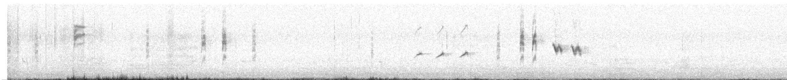 Tasmanian Thornbill - ML643017957