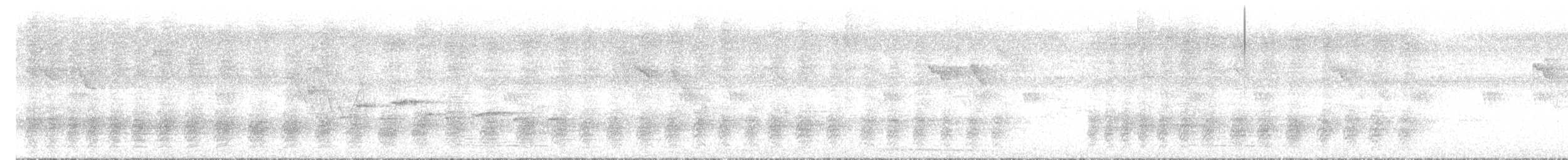 Rufous Treepie - ML643018491