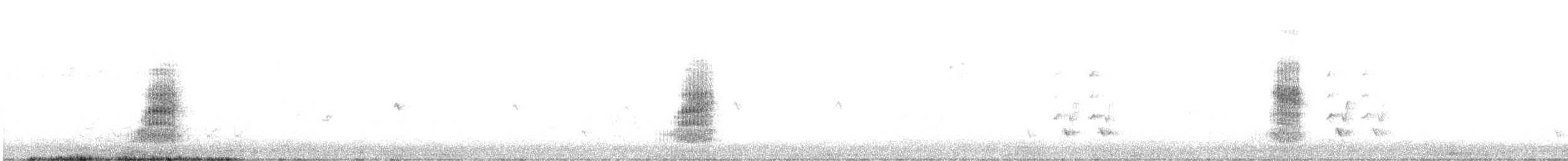 Lewin's Rail - ML643019386