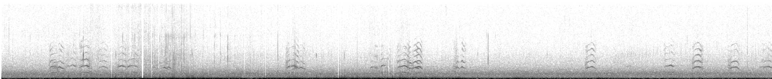 Snow Goose - ML643019422