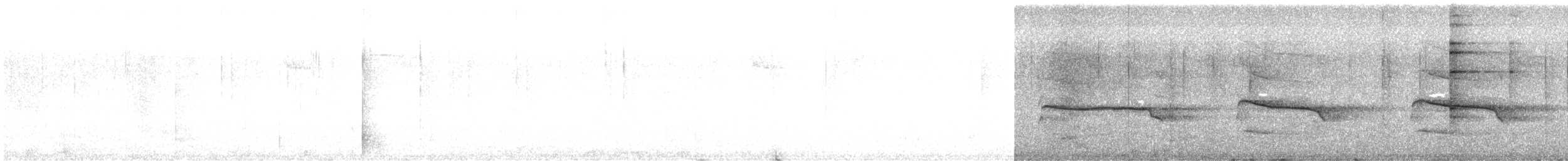 Short-tailed Hawk - ML643019451