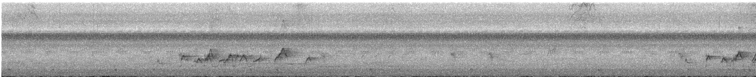 白環鸚嘴鵯 - ML643021490