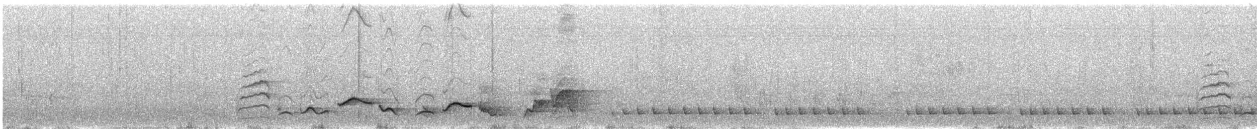 African Hill Babbler - ML643021719
