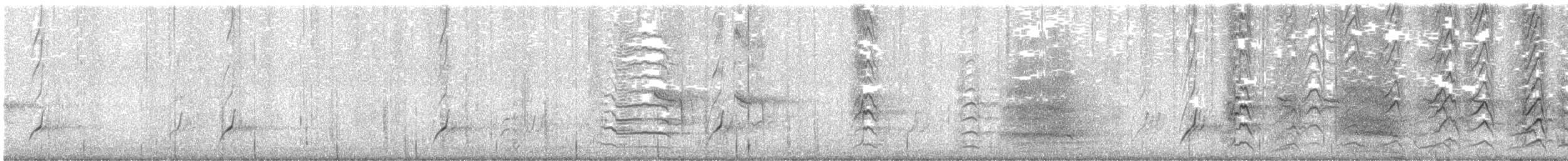 Méliphage à oreillons bleus - ML643022480
