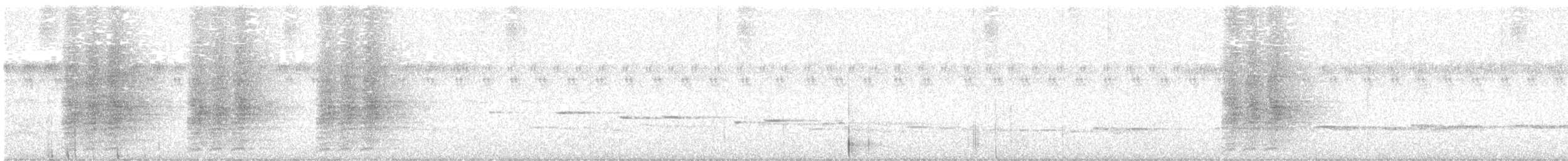 Spangled Drongo - ML643022571