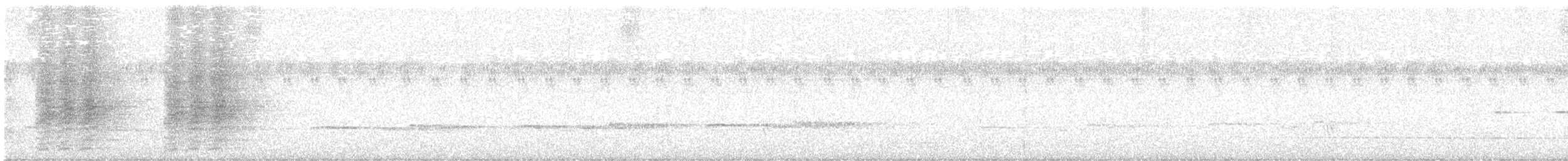 Spangled Drongo - ML643022572