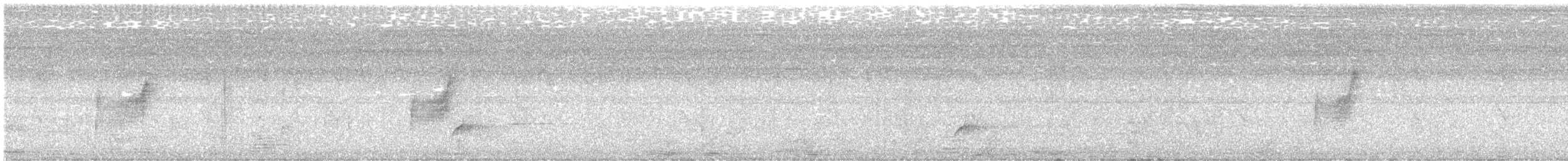Paperbark Flycatcher - ML643022657