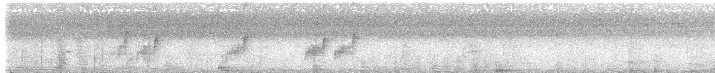 Paperbark Flycatcher - ML643022658