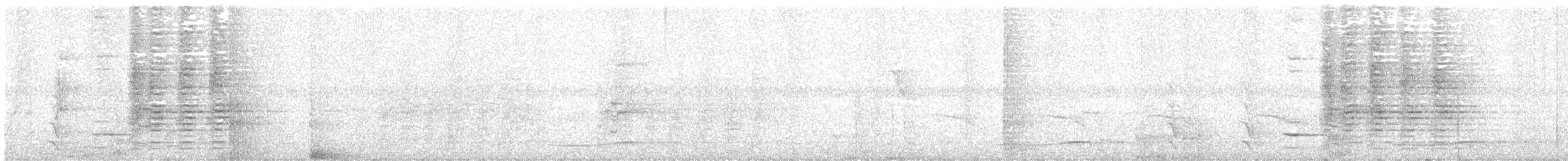 Spangled Drongo - ML643022942