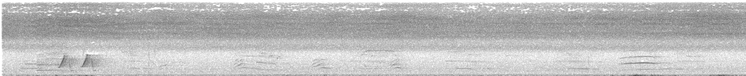 Arafura Shrikethrush - ML643022987