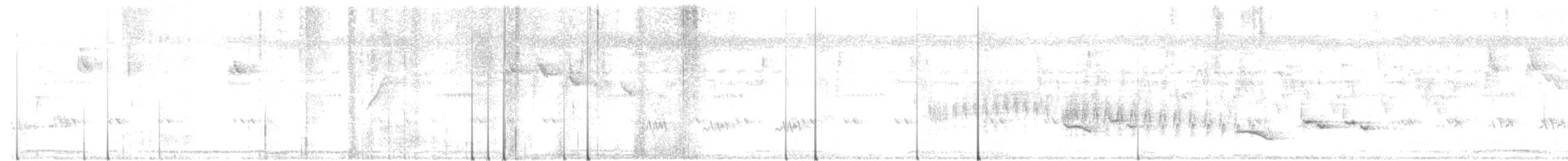Common Iora - ML643023673