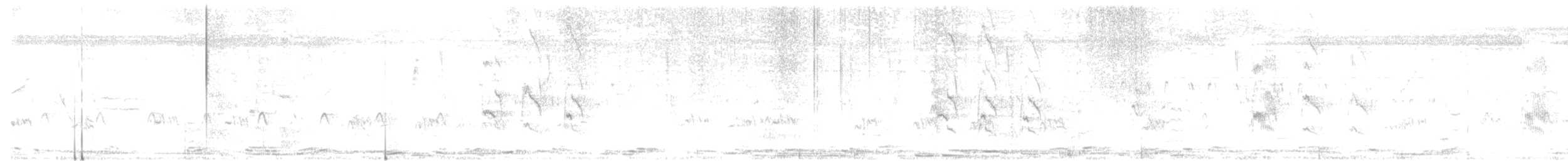 Bengalino comune - ML643023689