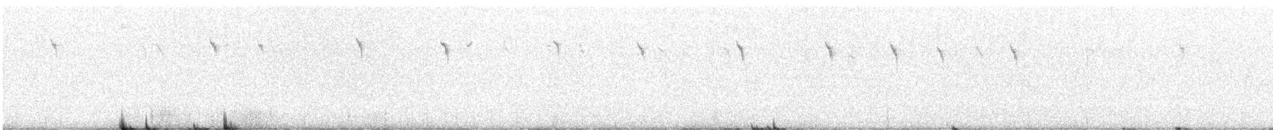 White-winged Fairywren - ML643024118