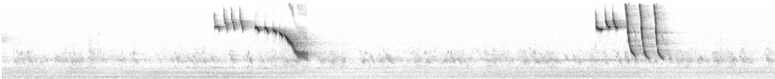 ノドジロセスジムシクイ - ML643026234