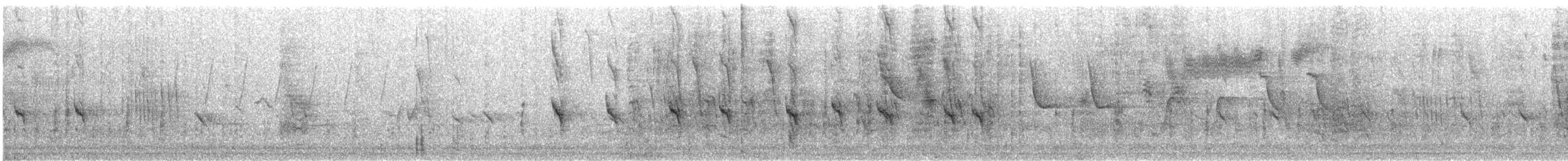 snovač zahradní - ML643026253