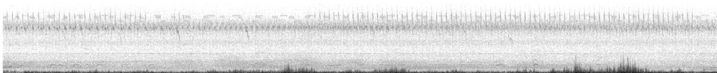 Pipit d'Amérique - ML643026449