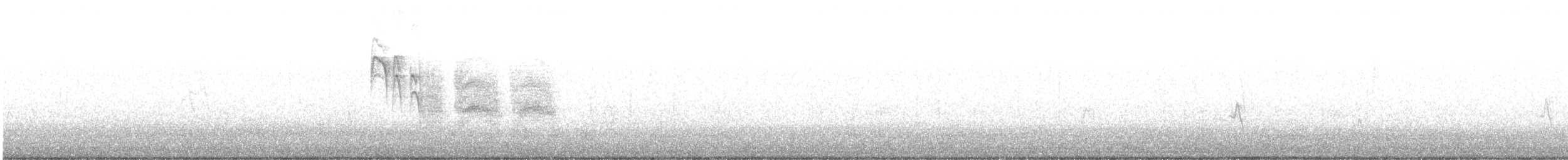 bergmeis (gambeli gr.) - ML643026966