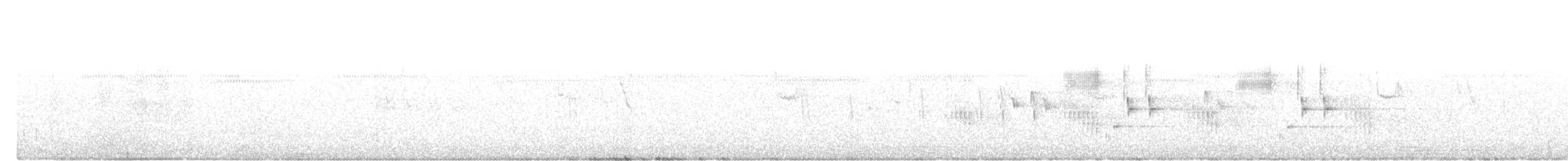 Зондский дронго - ML643027046