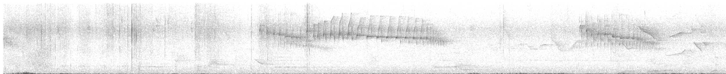 Araukarya Makaskuyruğu - ML643027055