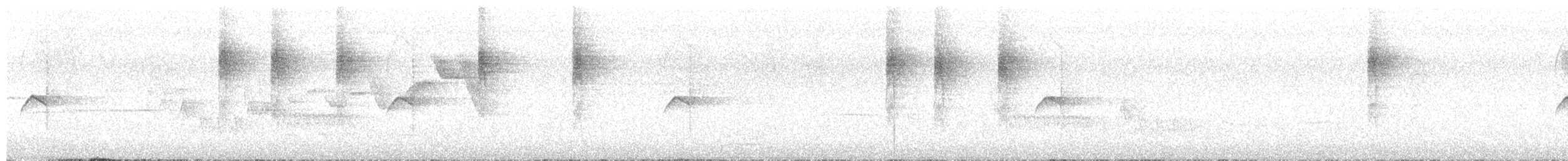 Rough-legged Tyrannulet - ML643027138