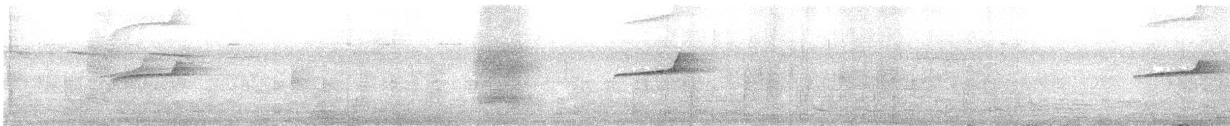 orientskjæreskvett - ML643029004