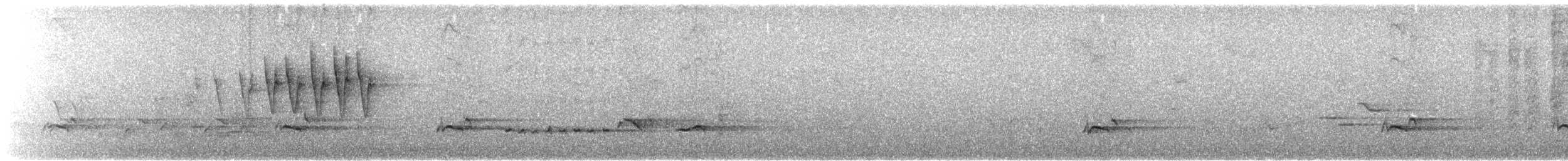 Paruline à calotte noire - ML643030380