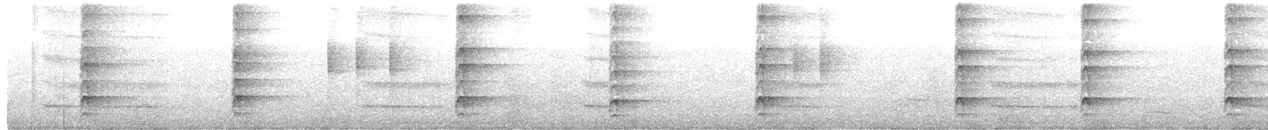 Laced Woodpecker - ML643030506
