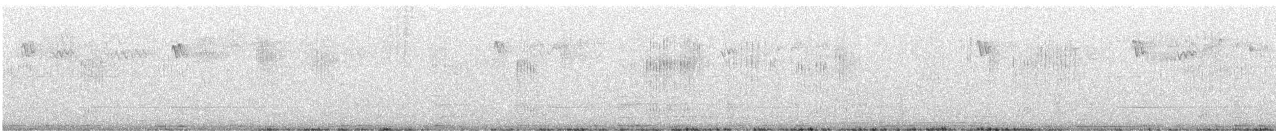 Grive draine - ML643032403