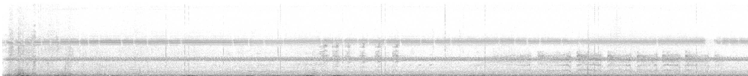 Polluela Negruzca - ML643033395