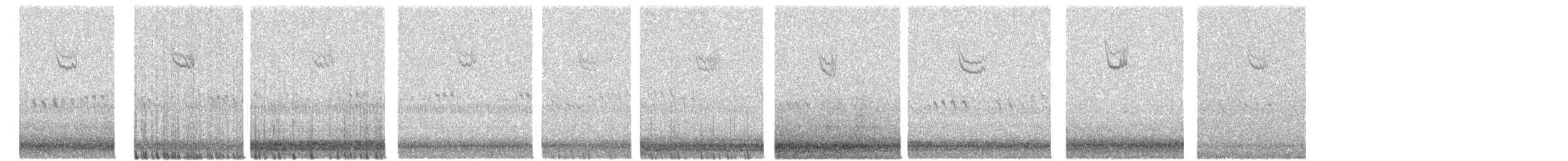White-throated Sparrow - ML643033887