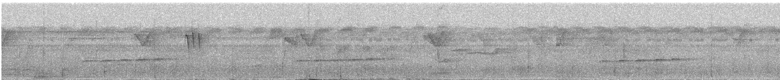 オウチュウカッコウ - ML643037073