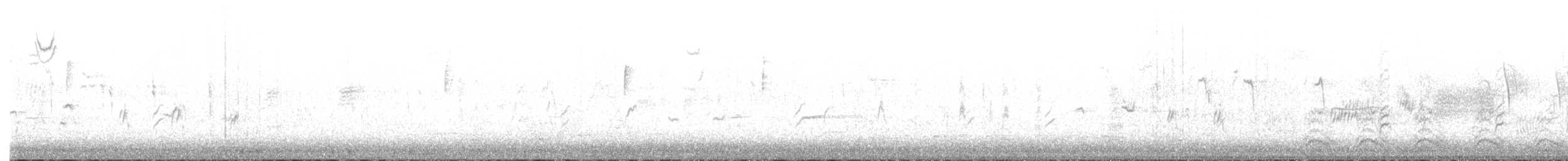 דרורן זהוב - ML643039917