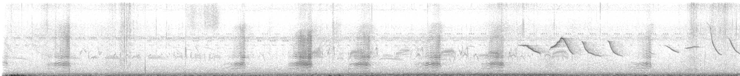 White-cheeked Pintail - ML643040752