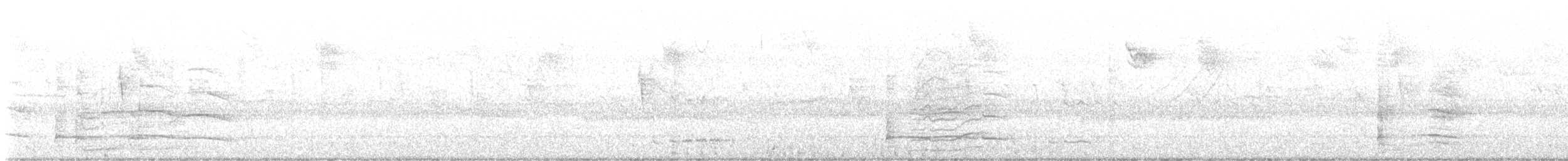 Каролінка - ML643041922