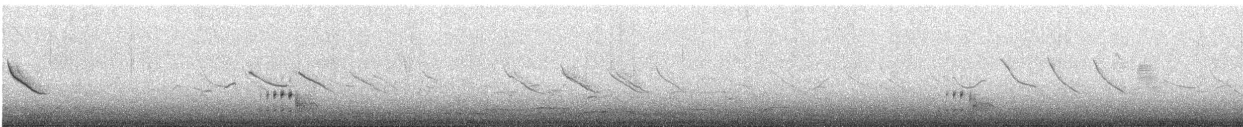 Black Rail - ML643042918