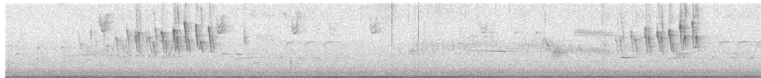 Wilson's Warbler - ML643043353