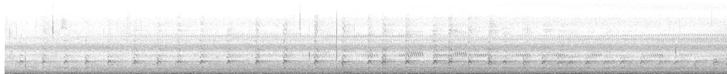 Pileated Woodpecker - ML643043499