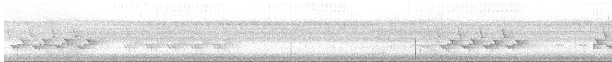 Carolina Wren - ML643043726