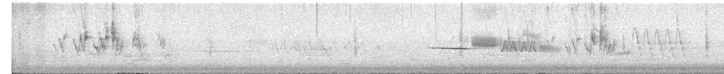 Nashville Warbler - ML643044209