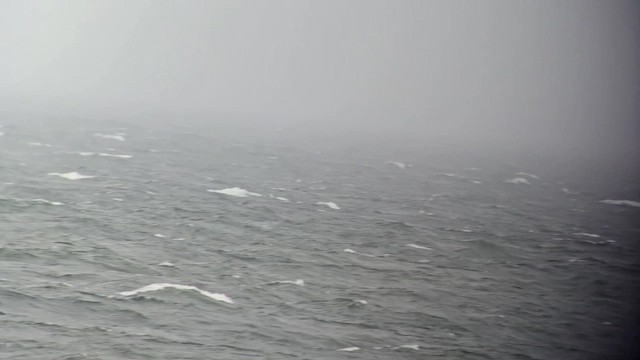 Gabai iluna - ML643045441