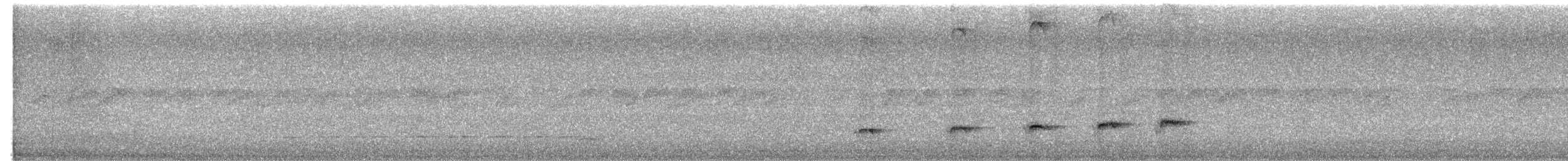 Black Antbird - ML643045462