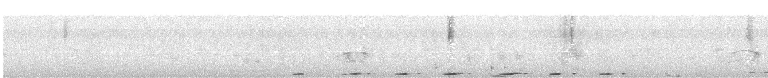 holoubek pikui - ML643047338