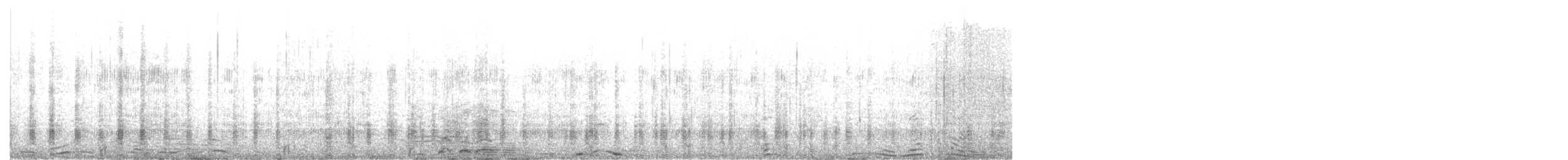 Augenbrauenente - ML643048500