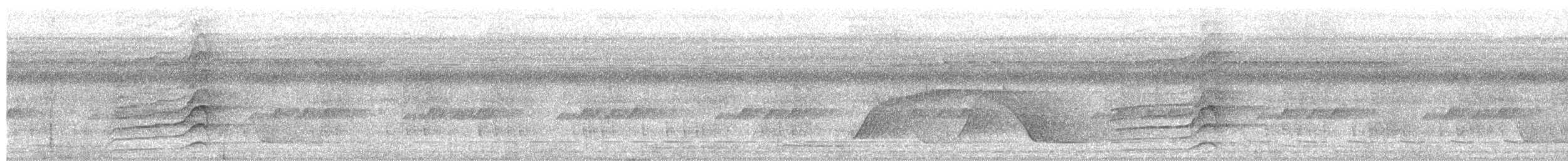 Uniform Woodcreeper - ML643048534