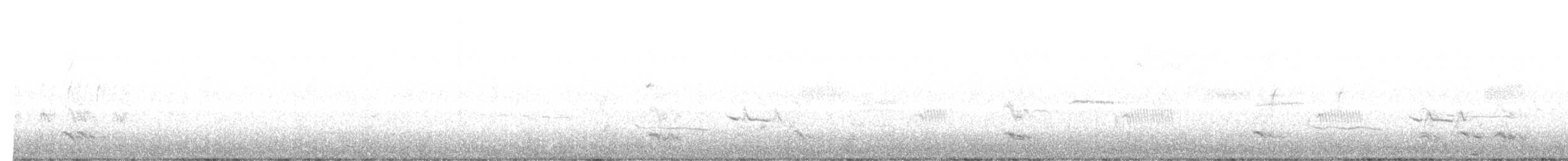 Mountain Bluebird - ML643049328