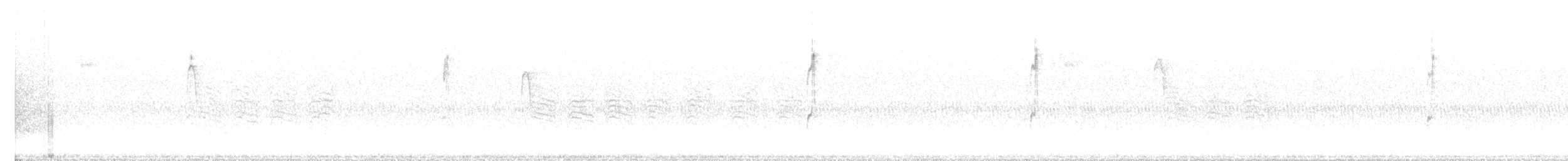 Connecticut Warbler - ML643052218